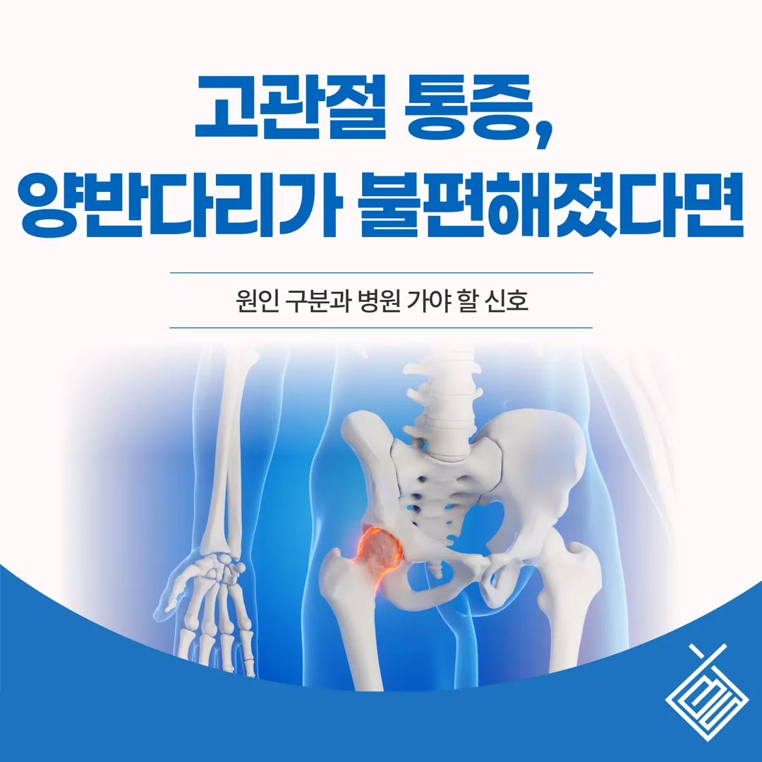 고관절 통증, 양반다리가 불편해졌다면 — 원인 구분과 병원 가야 할 신호