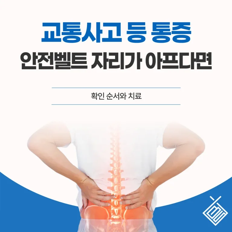 교통사고 등 통증, 안전벨트 자리가 아프다면 — 확인 순서와 치료