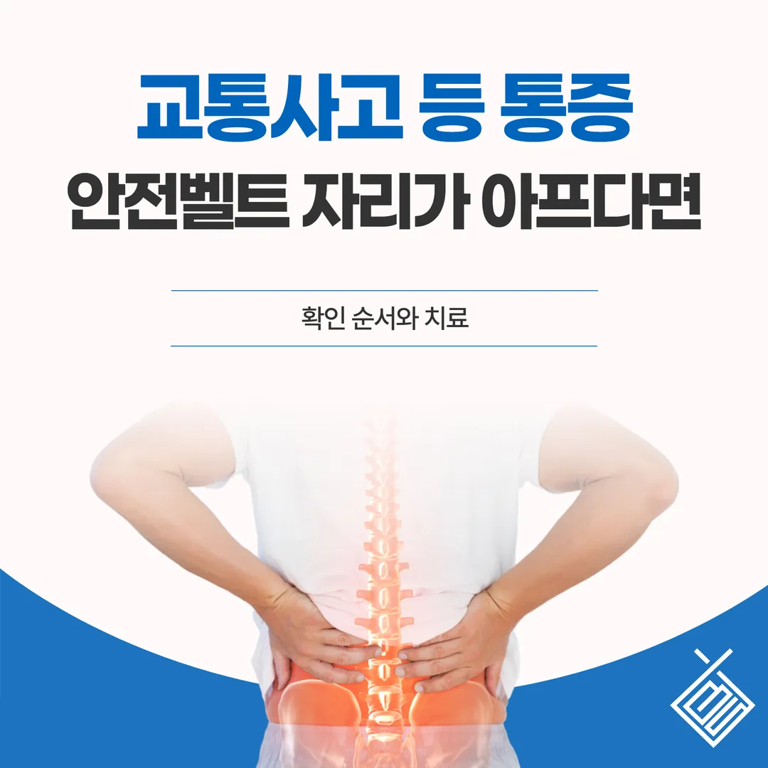 교통사고 등 통증, 안전벨트 자리가 아프다면 — 확인 순서와 치료