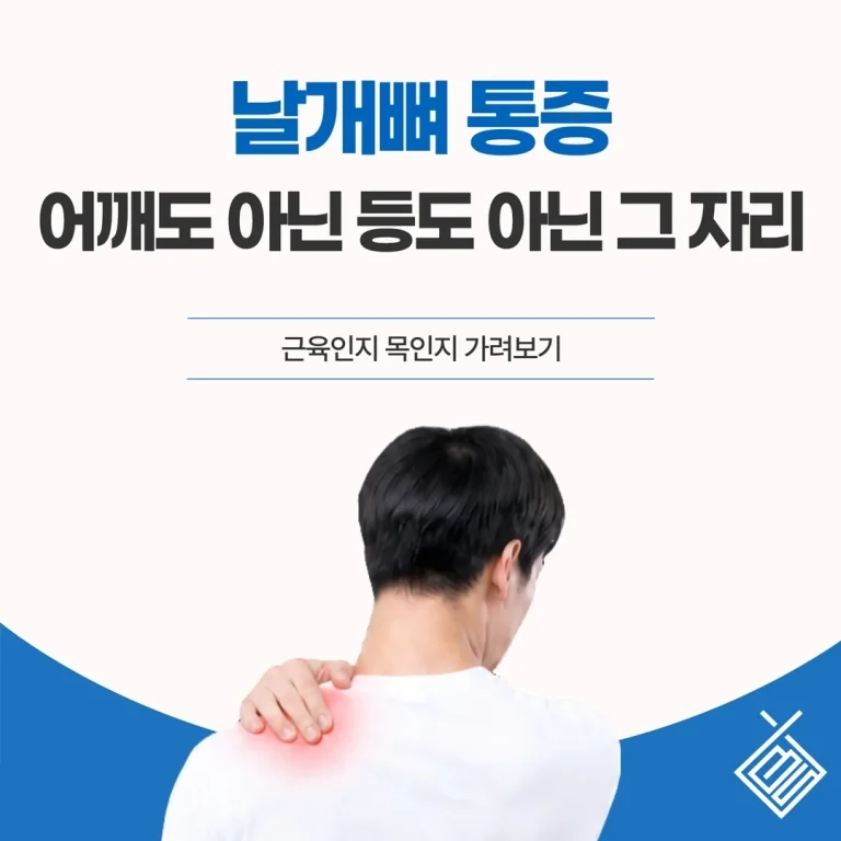 날개뼈 통증, 어깨도 아닌 등도 아닌 그 자리 — 근육인지 목인지 가려보기