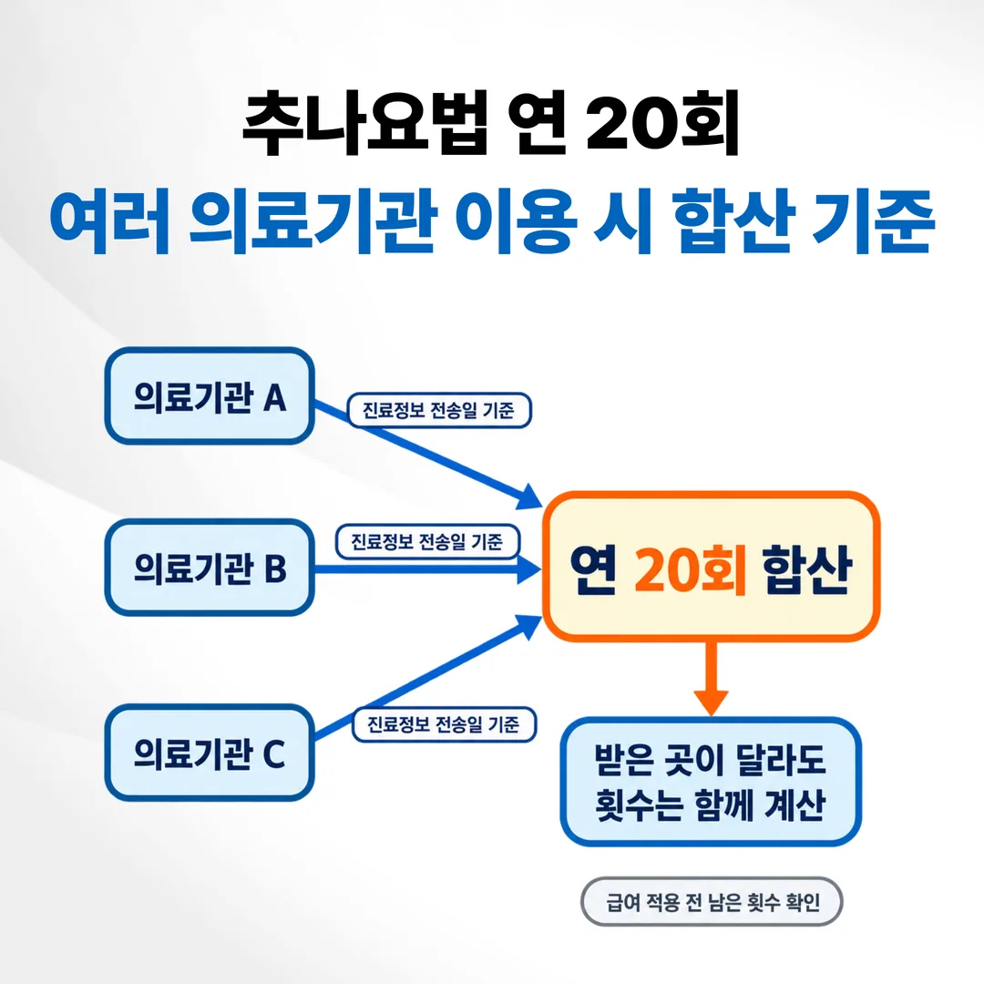 여러 요양기관에서 받은 추나요법 횟수가 연 20회로 합산되는 구조를 나타낸 그림