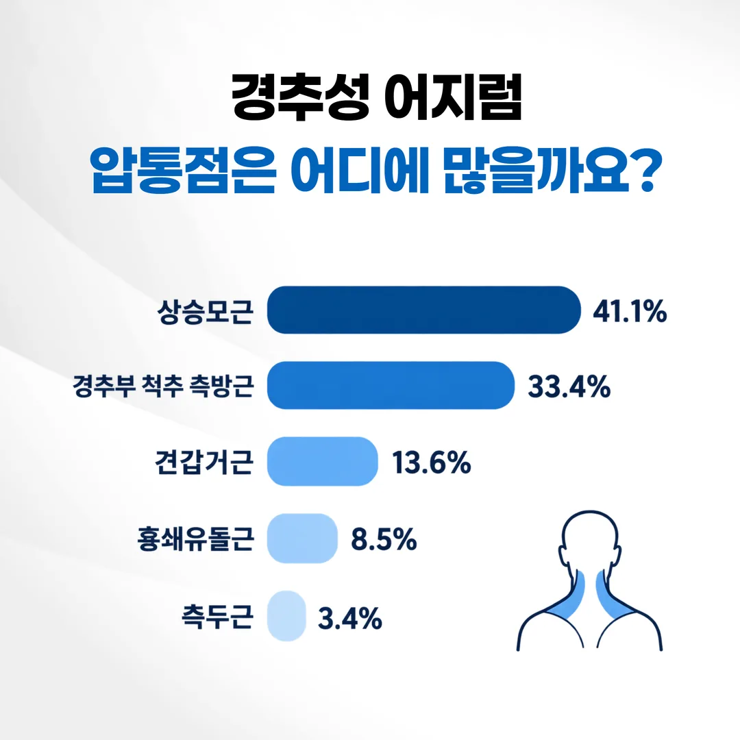 경추성 어지럼 압통점 근육별 분포 도표